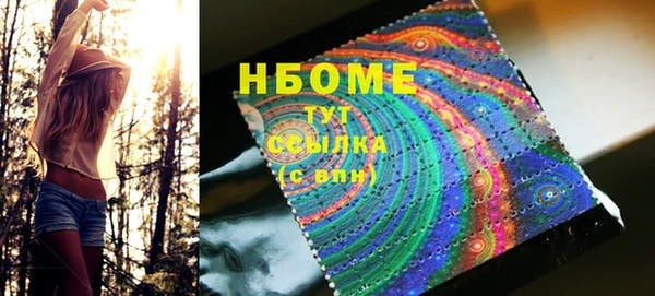 дживик Няндома