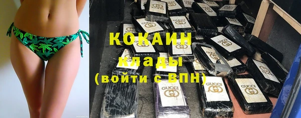 крисы Осинники