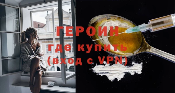 дживик Няндома