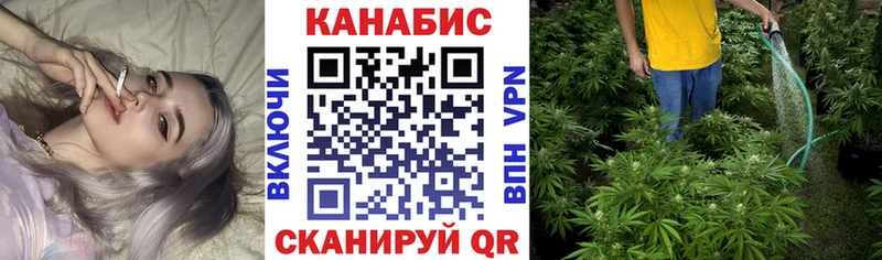 Купить где  Альметьевск  Каннабис AK-47 